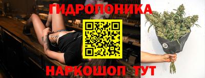 мдпв Кандалакша